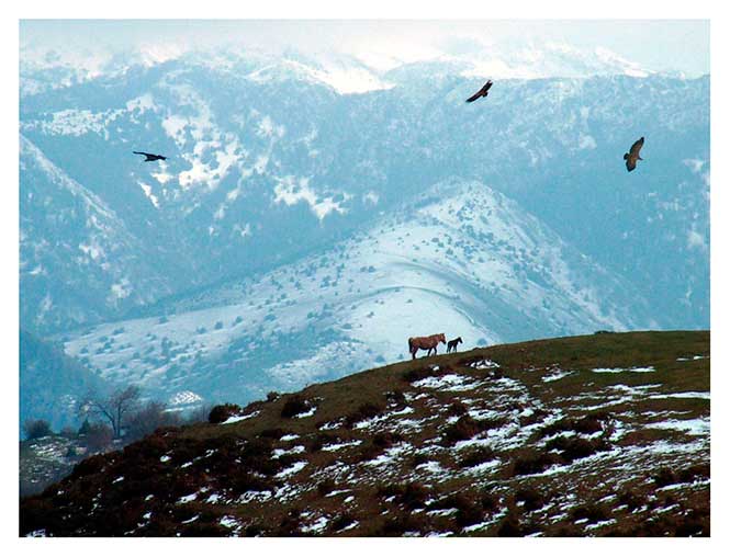 nacimiento bajo los buitres