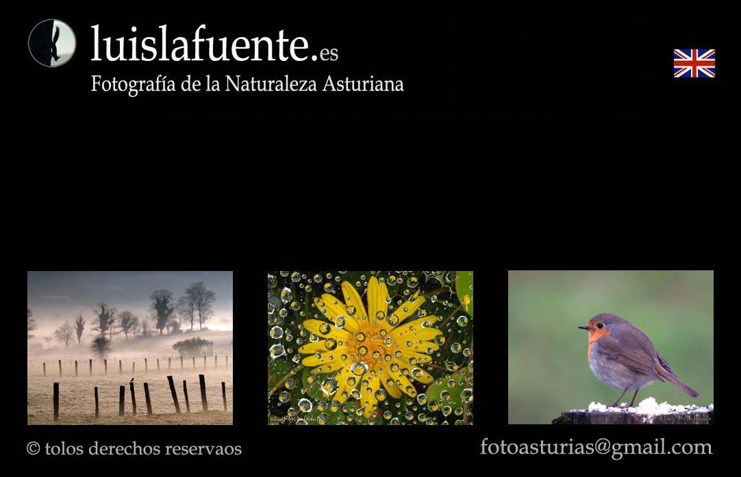 Impresi&oacute;n de copias en papel fotogr&aacute;fico